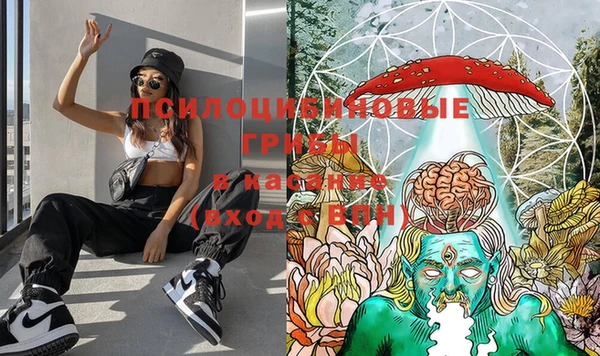 прущая мука Абинск