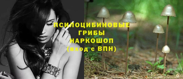 стаф Абдулино