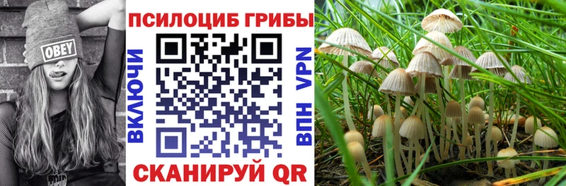 Галлюциногенные грибы Psilocybine cubensis Углегорск